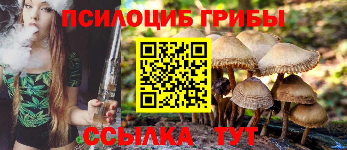 Псилоцибиновые грибы MAGIC MUSHROOMS  Вход с VPN  Великие Луки  купить наркотик  Псилоцибиновые грибы Magic Shrooms 